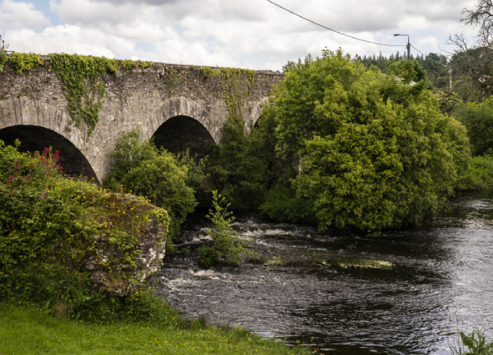 River flowing under a bridge with grass, trees and shrubs in the fore, middle and background