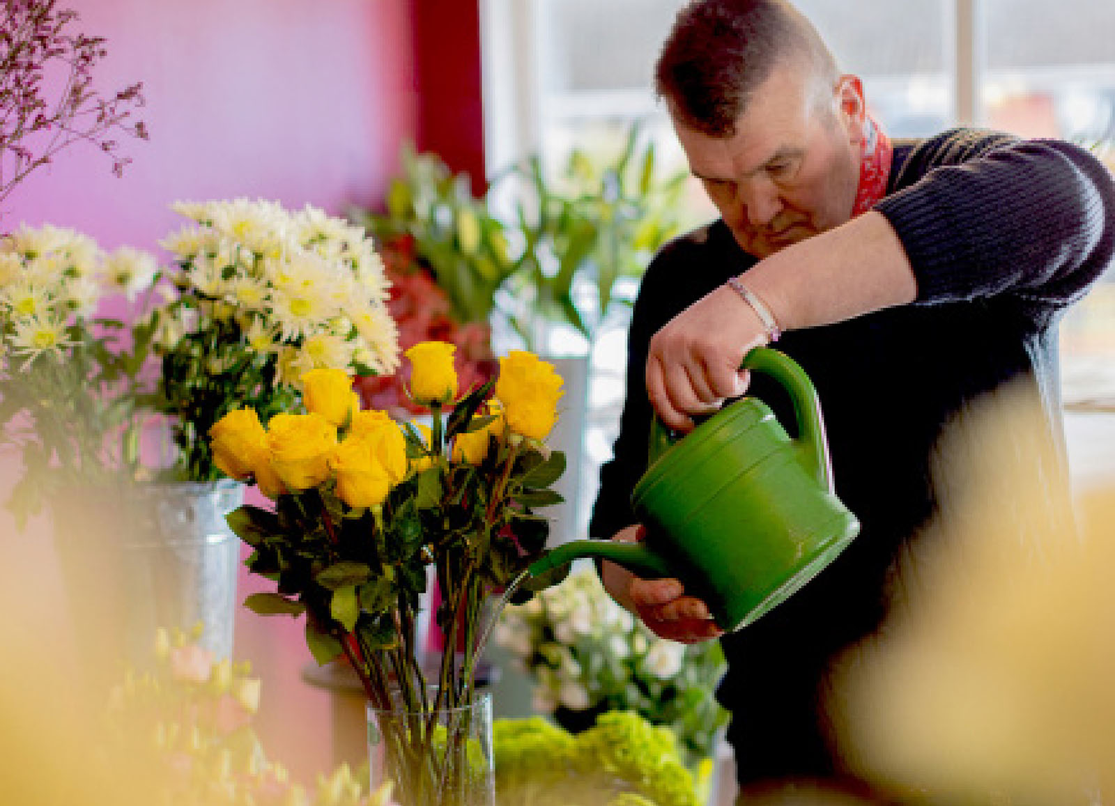 Small business owner - Flowers by Enda, Blessington, watering a vase of yellow roses
