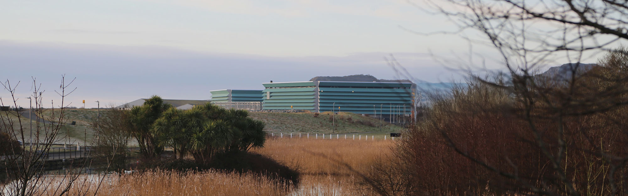 Arklow Wastewater Treatment Plant. Image taken at distance showing marsh land, shrubs and trees in foreground and Plant in the background