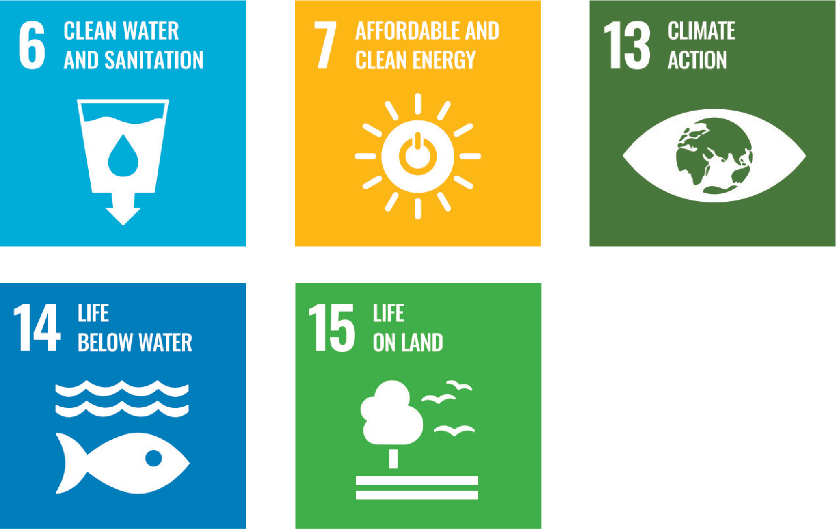 SDG icons