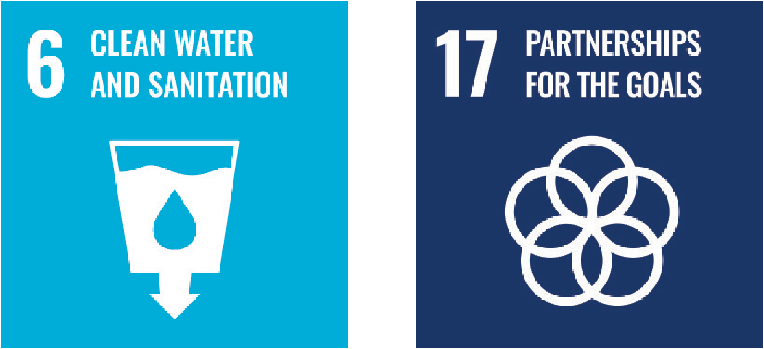 SDG icons