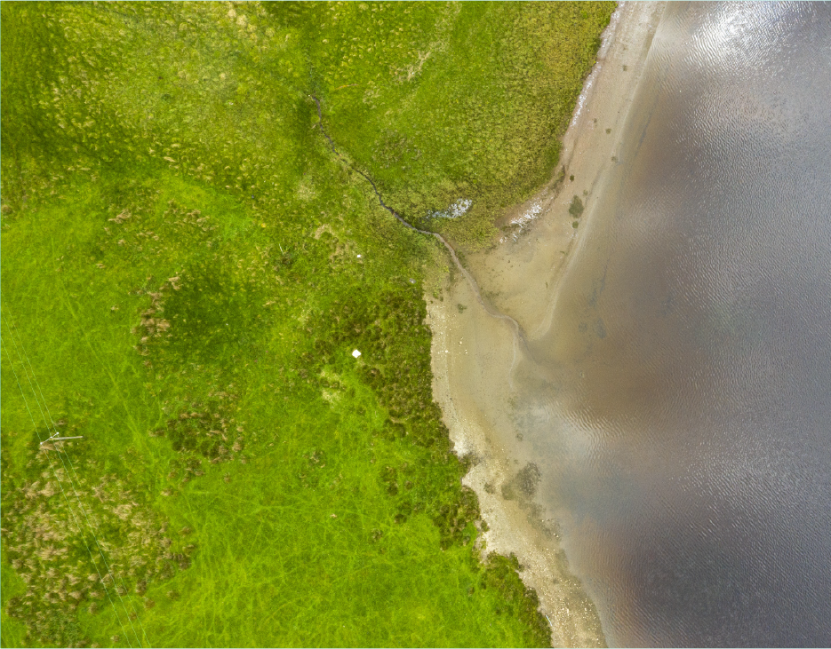 Aerial view of a grassy shoreline meeting a sandy beach and calm water.