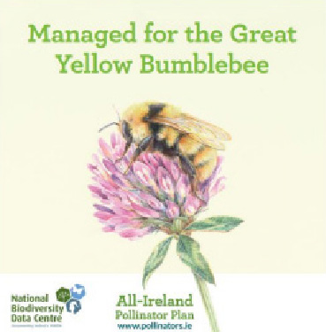 'Managed for the Great Yellow Bumblebee' with a bee on a flower; All-Ireland Pollinator Plan logo.