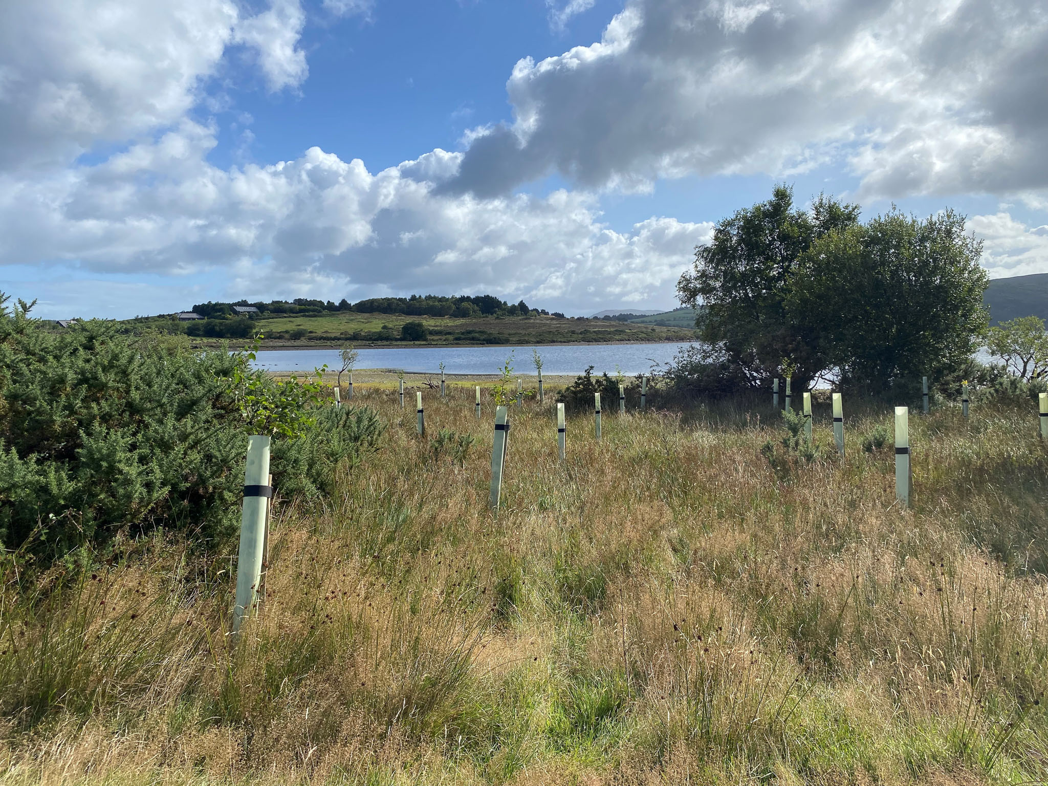 Lough Guitane 