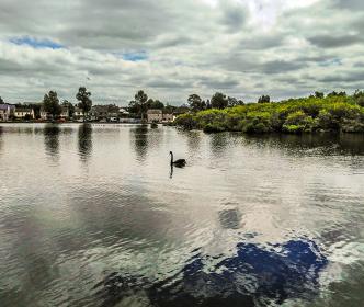 Lough, Cork City